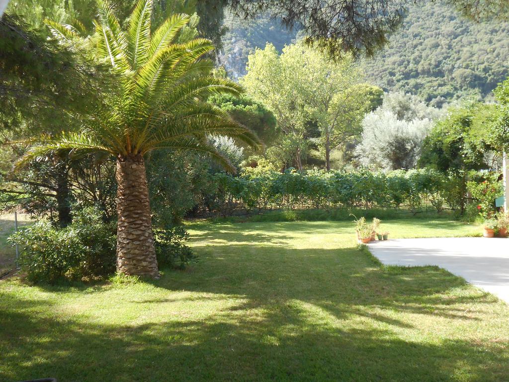 Brunello Seaside Apartments Lefkada City Exterior foto